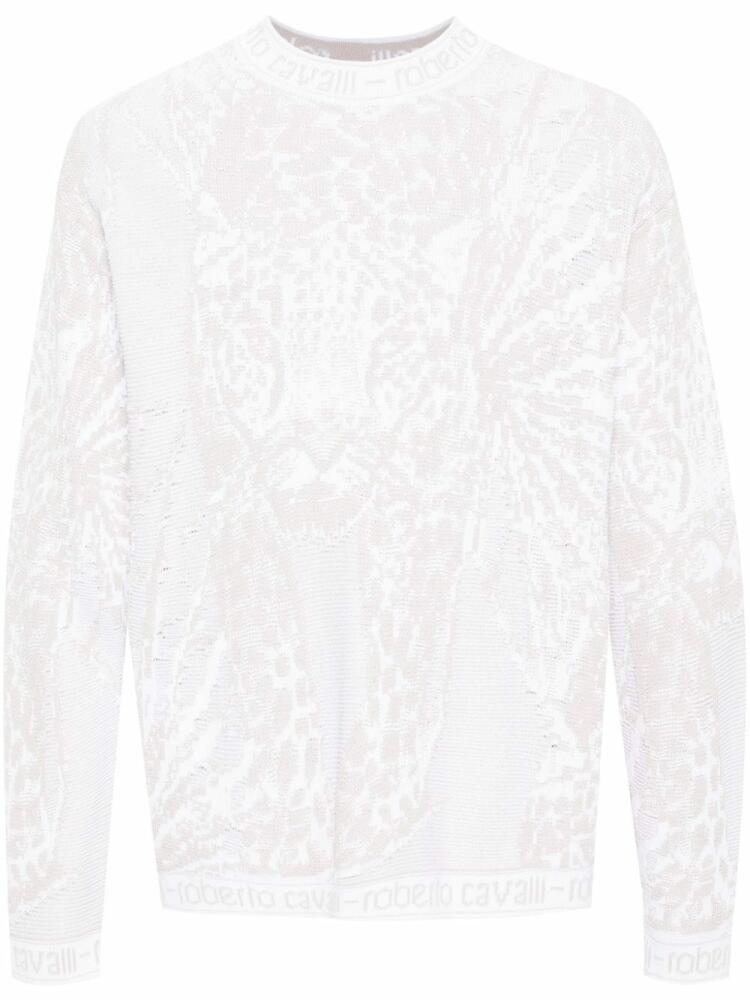 Roberto Cavalli Tiger-motif jacquard jumper - Pink Cover