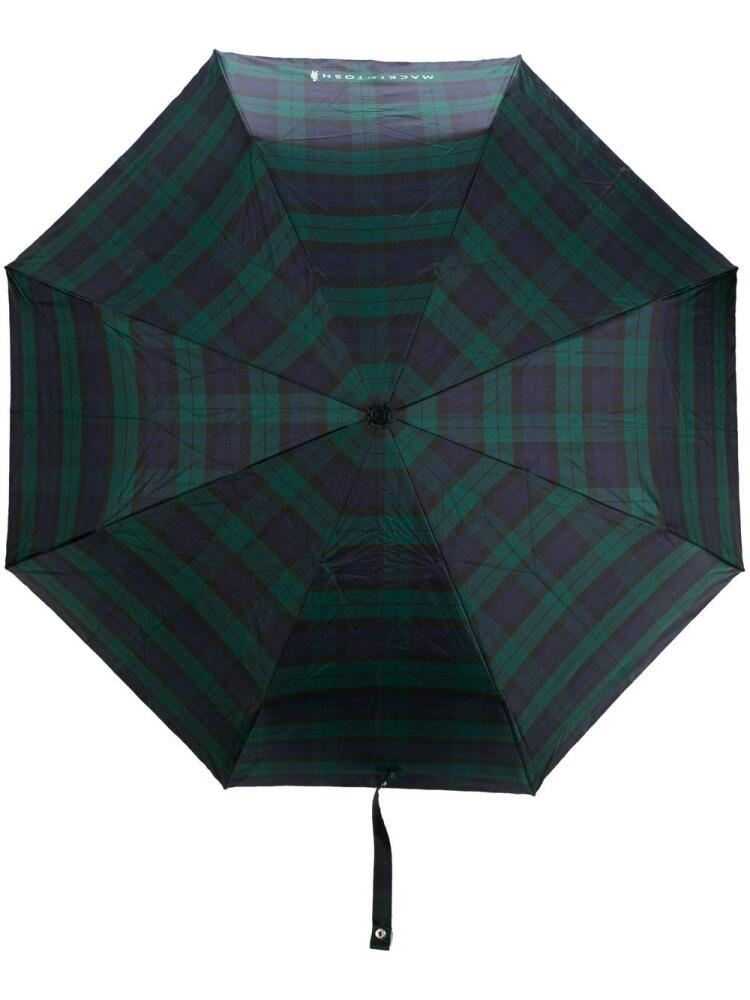 Mackintosh AYR Gordon automatic telescopic umbrella - Green Cover