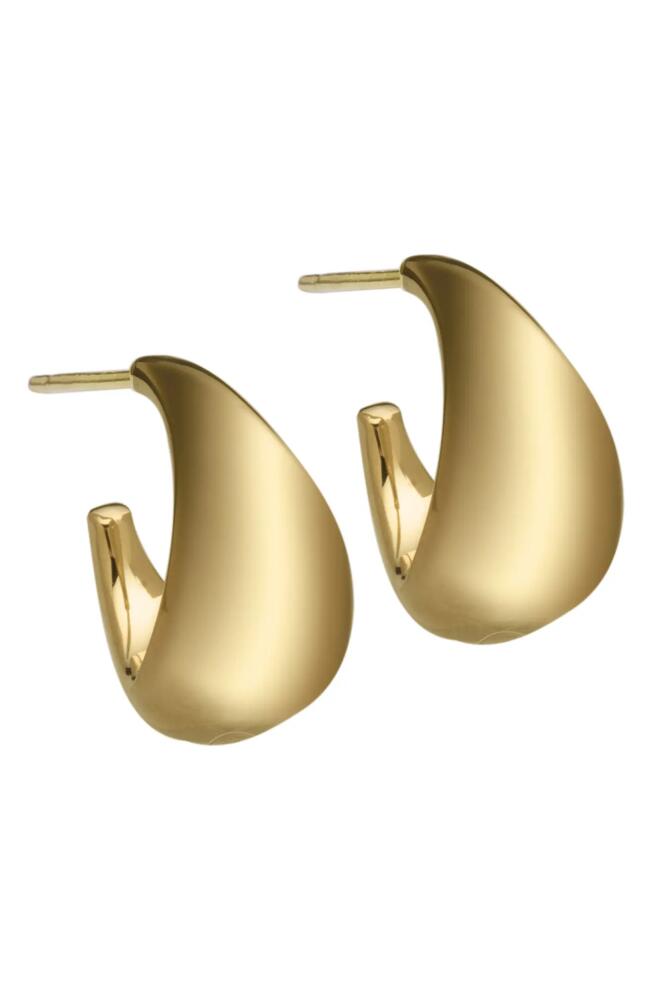 Jennifer Zeuner Shira Hoop Earrings in 14K Yellow Gold Plated Silver Cover