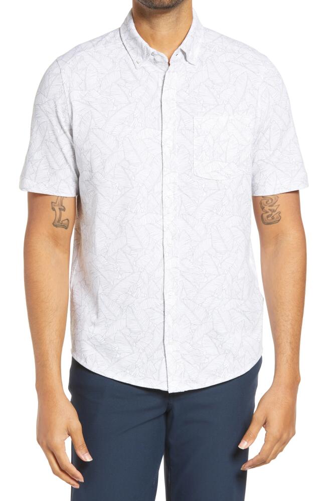 Cutter & Buck Reach Regular Fit Stretch Print Short Sleeve Button Down Shirt in Polished Cover