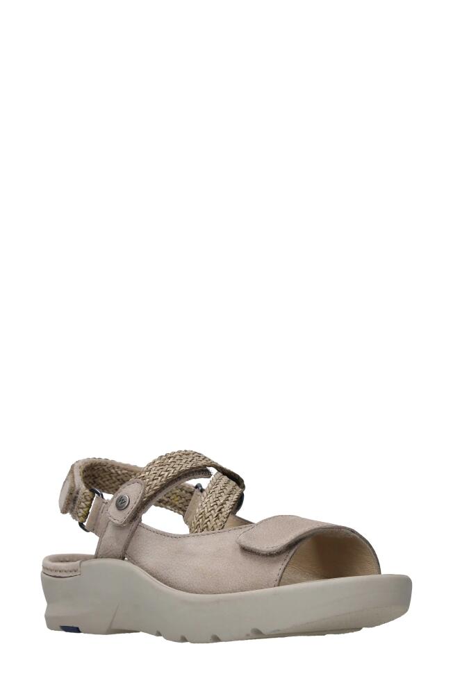 Wolky Lisse Slingback Platform Sandal in Safari Nubuck Cover