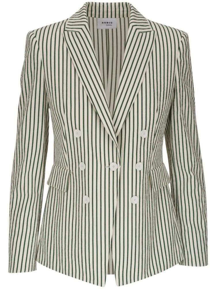 Akris Punto double-breasted striped blazer - Green Cover