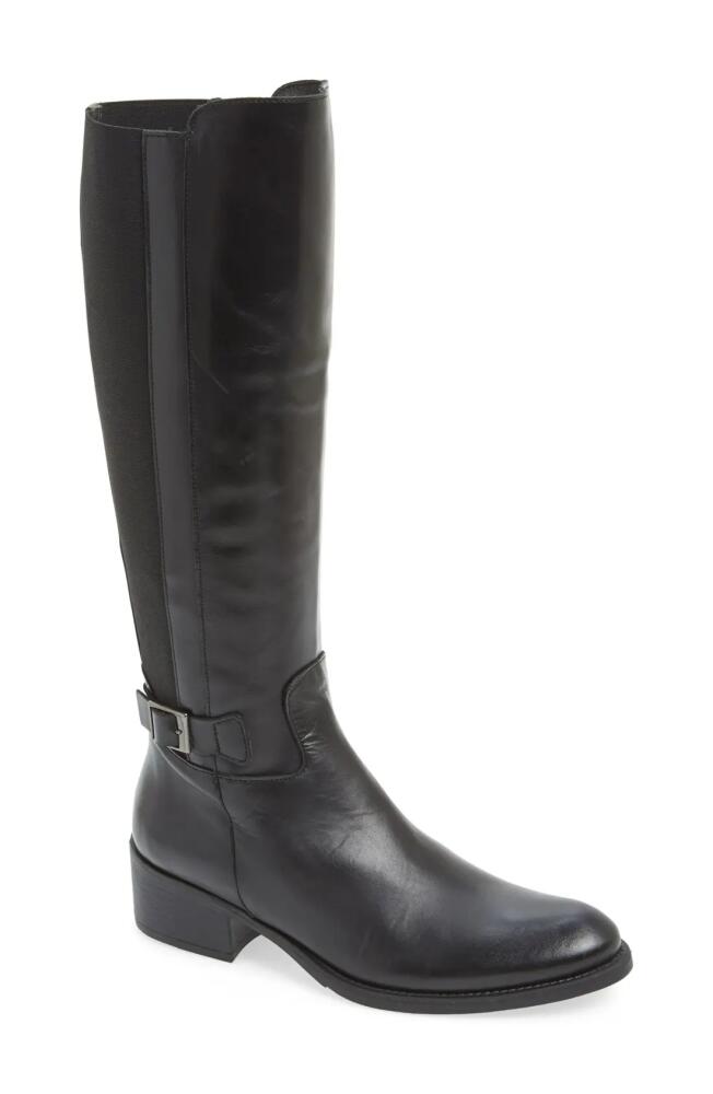 Toni Pons 'Tacoma' Tall Elastic Back Boot in Black Leather Cover