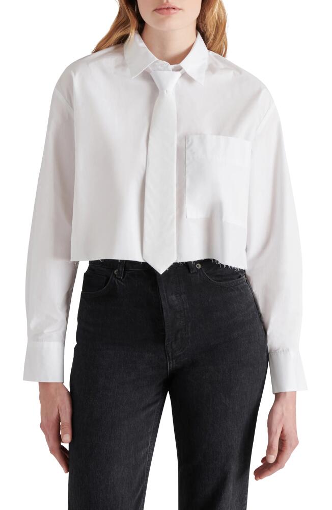 Steve Madden Dom Necktie Crop Shirt in White Cover