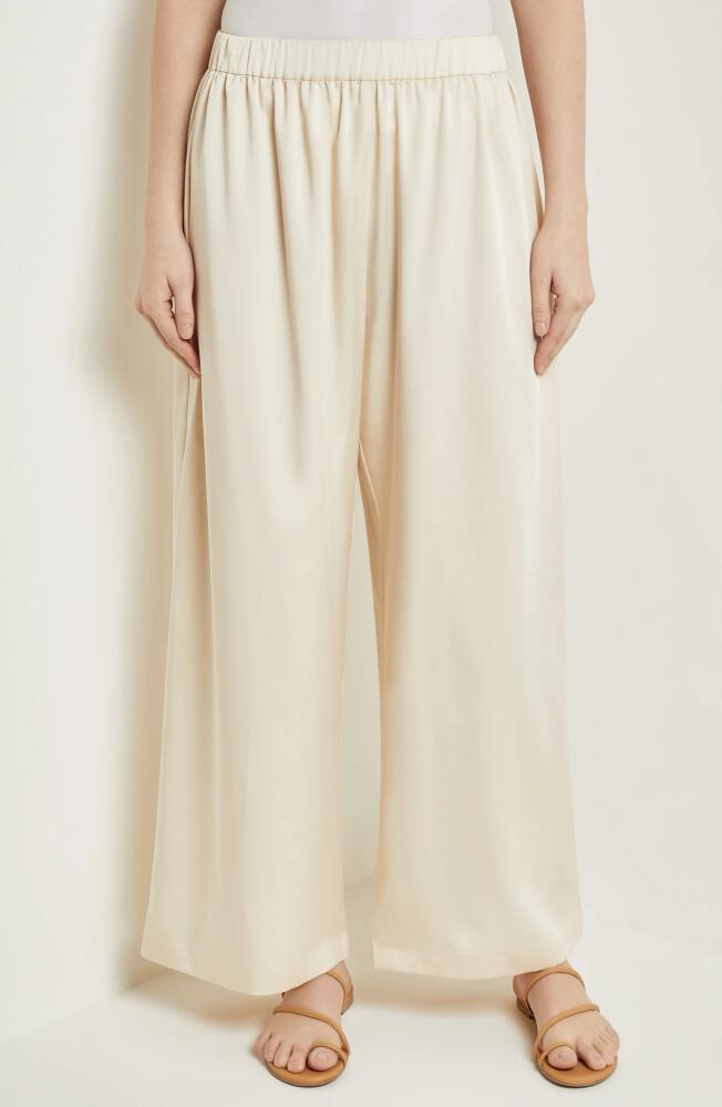 Misook Wide Leg Pants in Parchment Cover