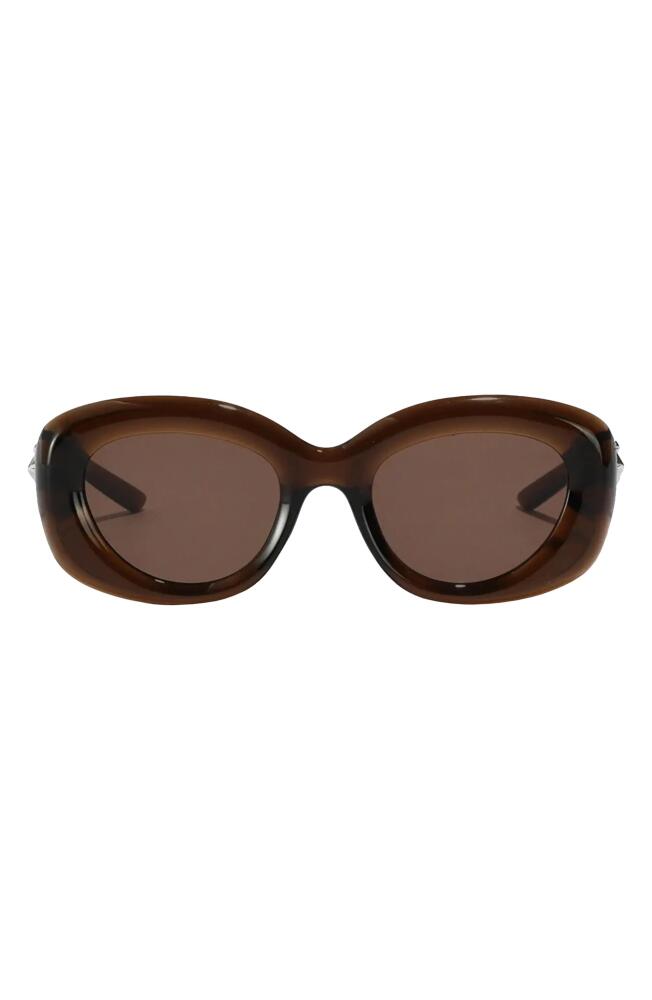 Fifth & Ninth Bianca 54mm Polarized Round Sunglasses in Brown Cover