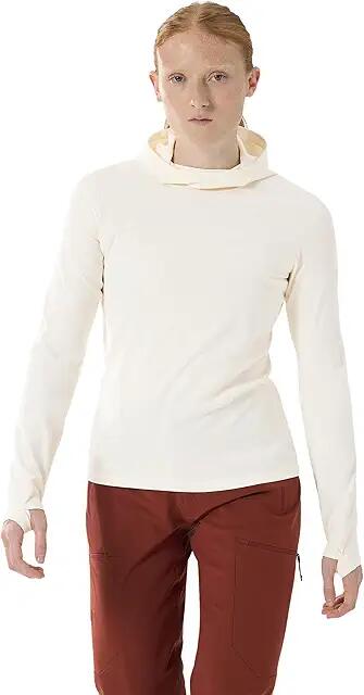 Arc'teryx Taema Thermal Hoodie (Arctic Silk Heather) Women's Clothing Cover