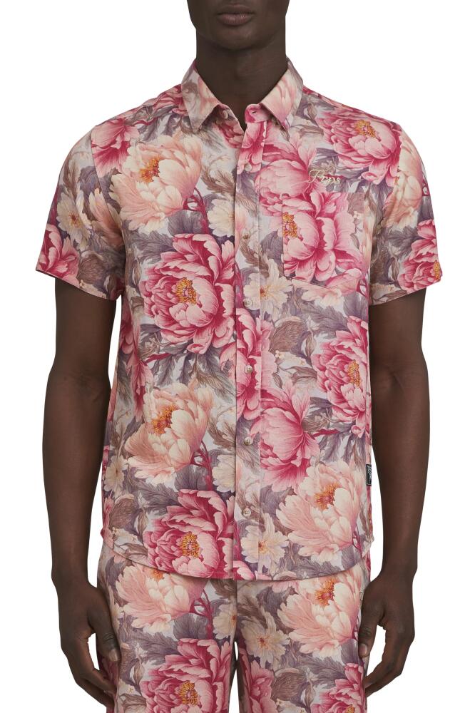 PRPS Floral Short Sleeve Button-Up Shirt in Pink Multi Cover