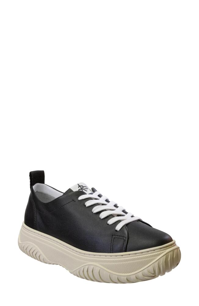 OTBT Pangea Low Top Sneaker in Black Cover