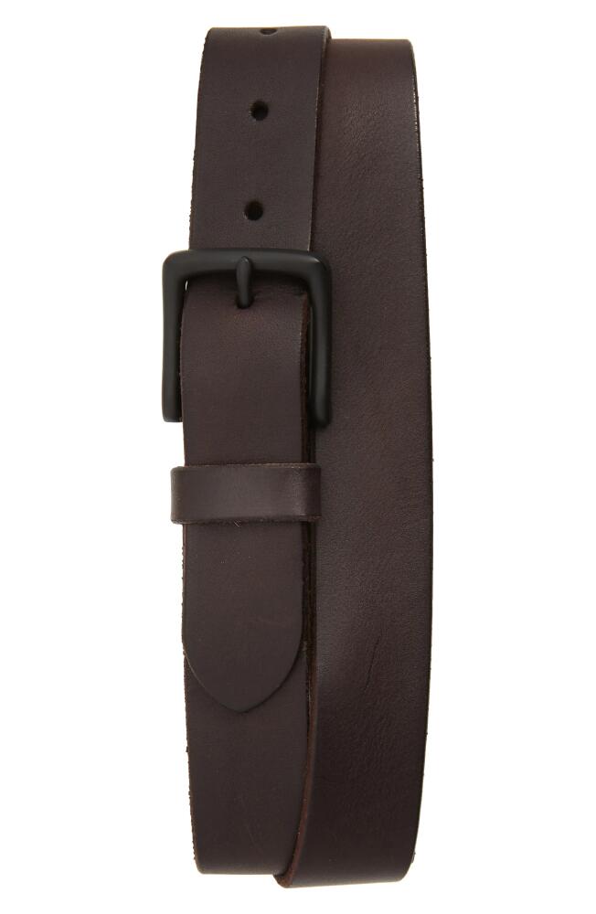 AllSaints Leather Belt in Dark Brown/Matte Black Cover