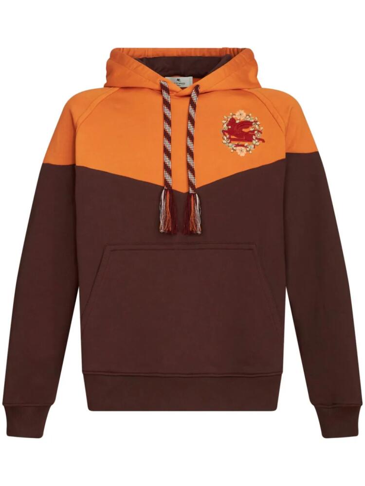 ETRO Pegaso-embroidered cotton hoodie - Brown Cover