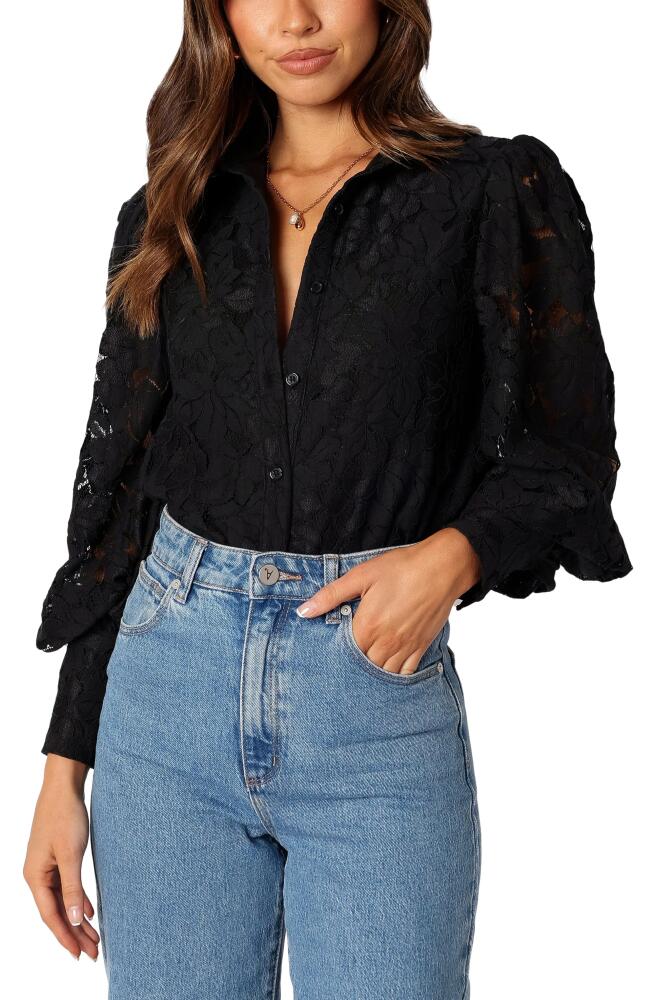 Petal & Pup Tadeo Floral Lace Button-Up Shirt in Black Cover