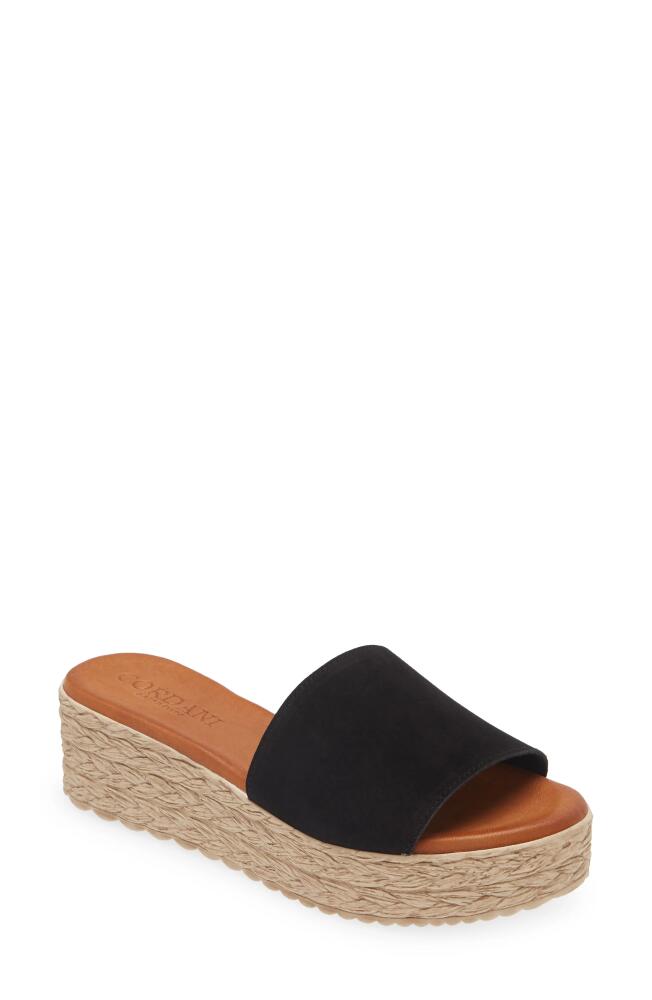 Cordani Bizzy Espadrille Platform Wedge Slide Sandal in Black Suede Cover