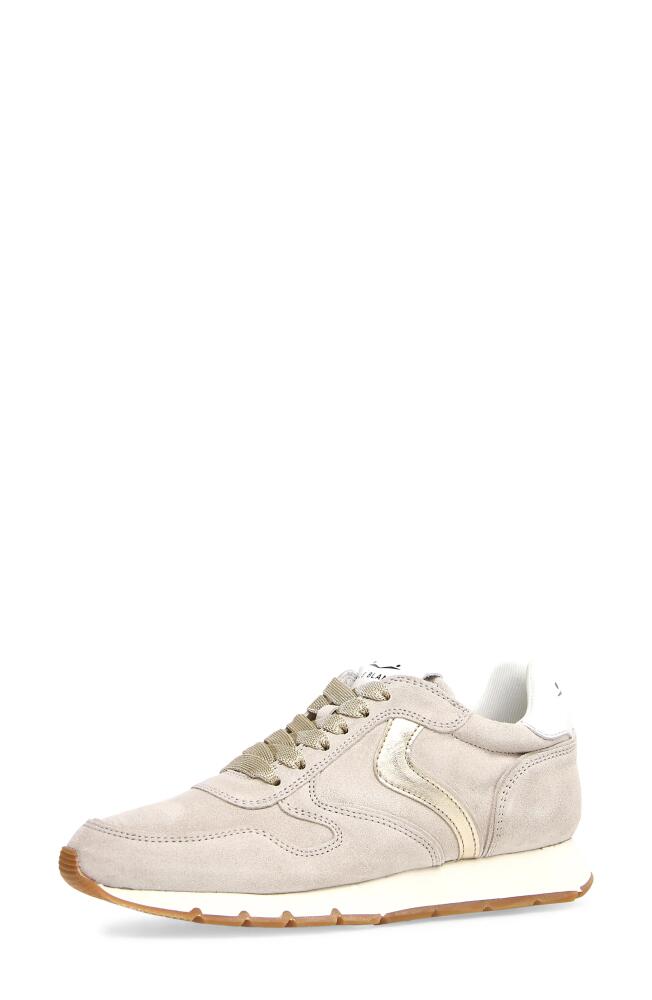 Voile Blanche Julia Sneaker in Ice Platinum Cover