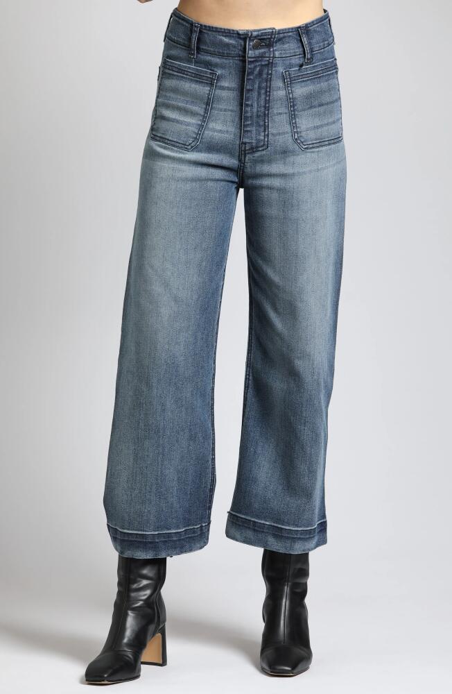 APNY Wide Leg Ankle Jeans in Indigo Cover