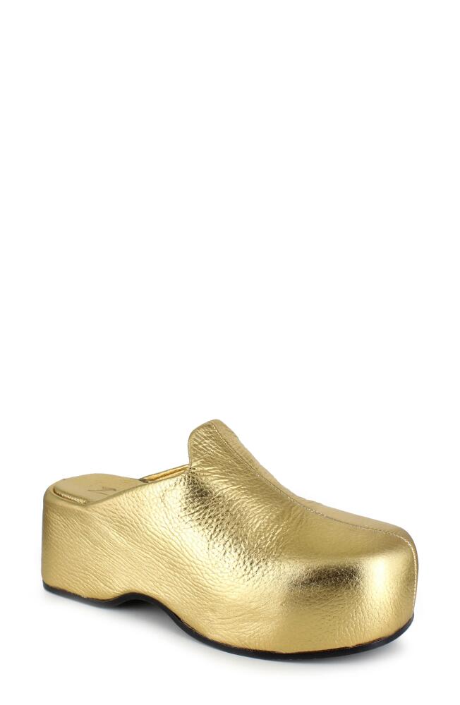 ZIGI Kristen Platform Clog in Gold Leather Cover