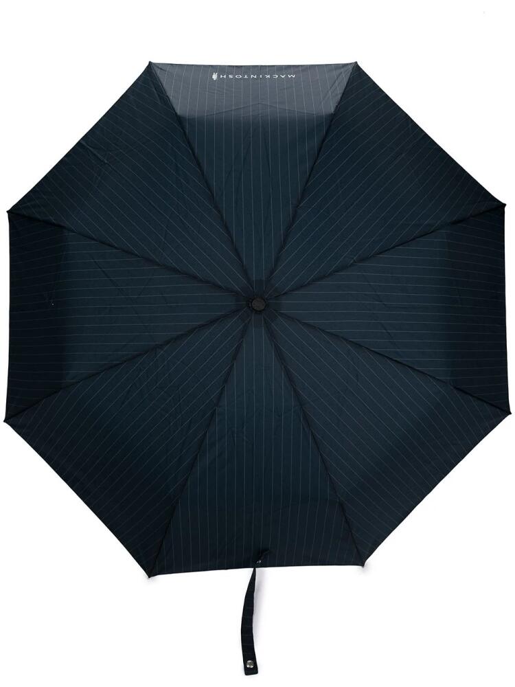 Mackintosh Ayr pinstripe automatic umbrella - Blue Cover