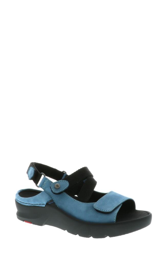 Wolky Lisse Slingback Sandal in Blue Antique Nubuck Leather Cover