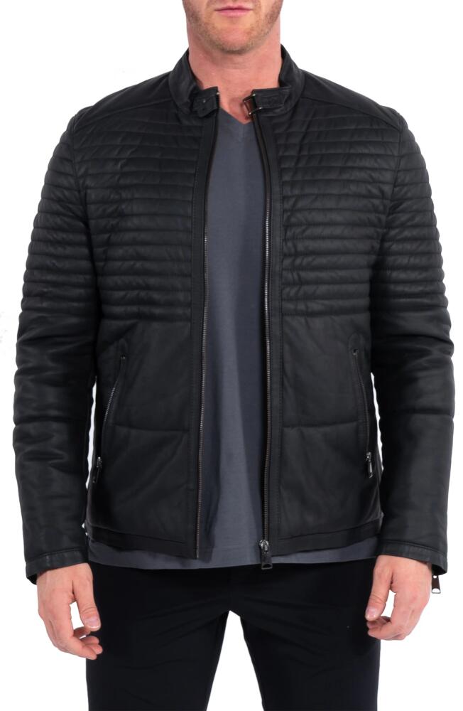 Maceoo Quilted Leather Jacket in Black Cover