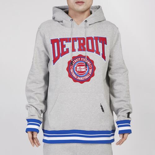 Pro Standard Pistons Crest Emblem Fleece P/O Hoodie - Mens Gray Cover