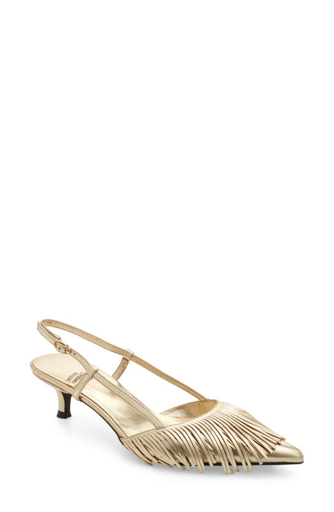 Jeffrey Campbell Lasso Me Slingback Pointed Toe Pump in Gold Cover