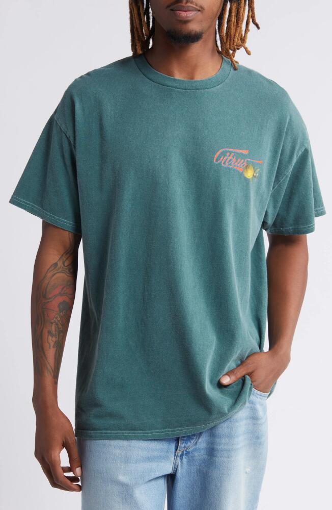 BDG Urban Outfitters Pomelo Graphic T-Shirt in Dark Green Cover