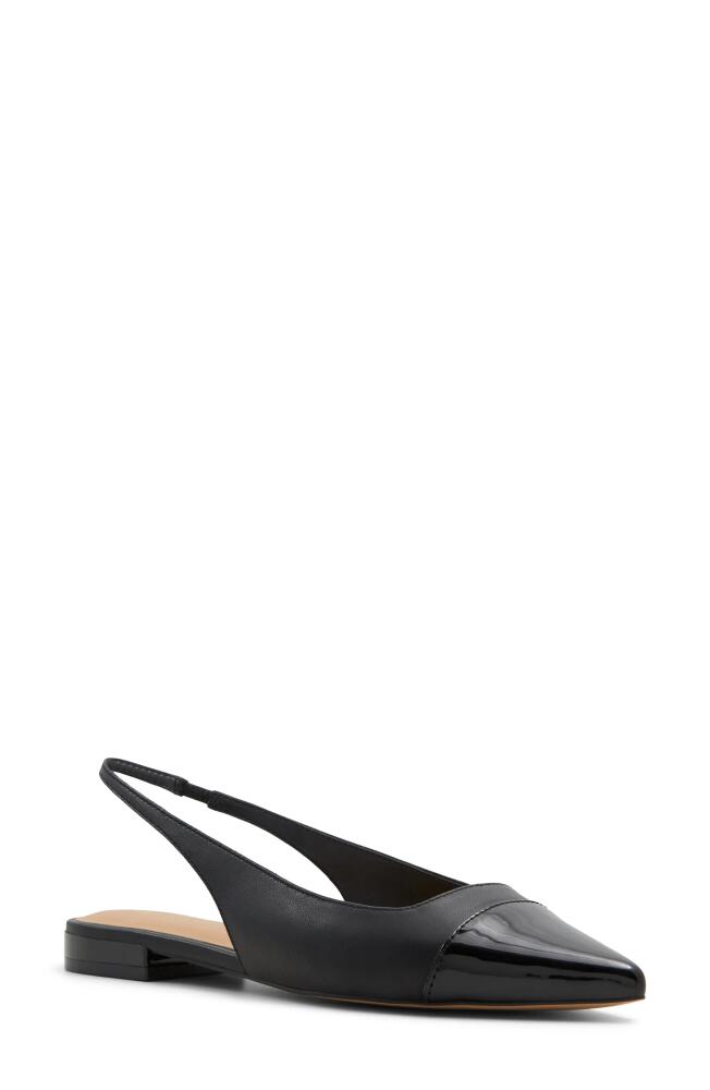 ALDO Fleure Slingback Pointed Cap Toe Flat in Black Cover