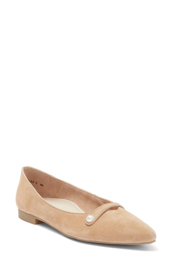 Paul Green Tahitian Pointed Toe Flat in Dakar Suede Cover