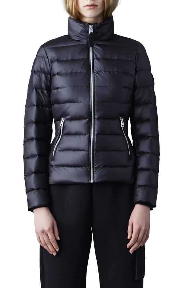 Mackage Davina Water Repellent 800 Fill Power Down Puffer Jacket in Black Cover