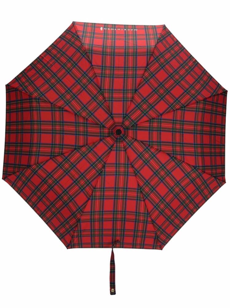 Mackintosh Ayr automatic telescopic umbrella - Red Cover