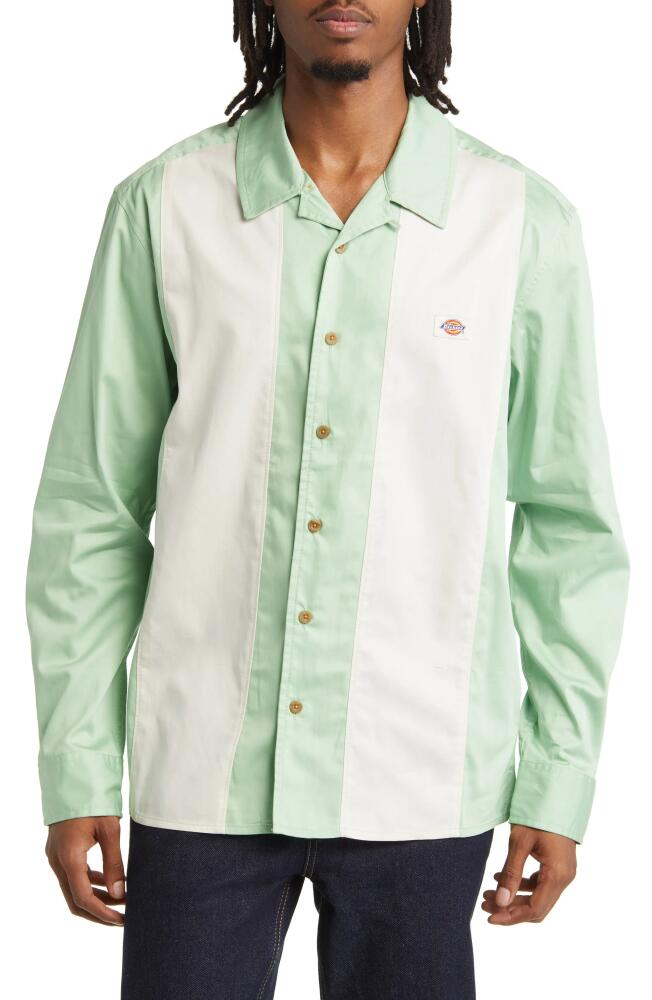 Dickies Westover Colorblock Stripe Cotton Button-Up Shirt in Quiet Green Cover