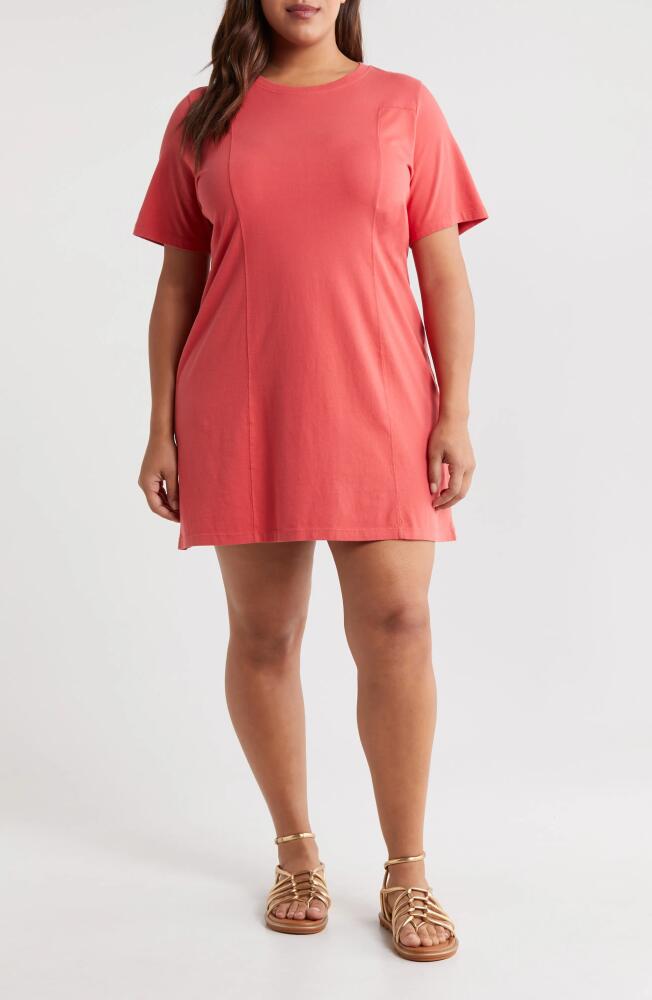 Treasure & Bond Seamed Cotton T-Shirt Dress in Red Cranberry Cover