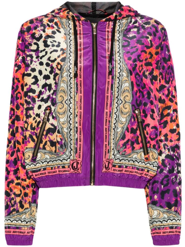 Just Cavalli leopard-print hooded jacket - Purple Cover