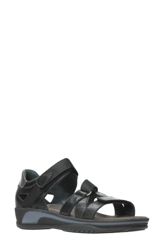 Wolky Desh Sandal in Black Savana Leather Cover