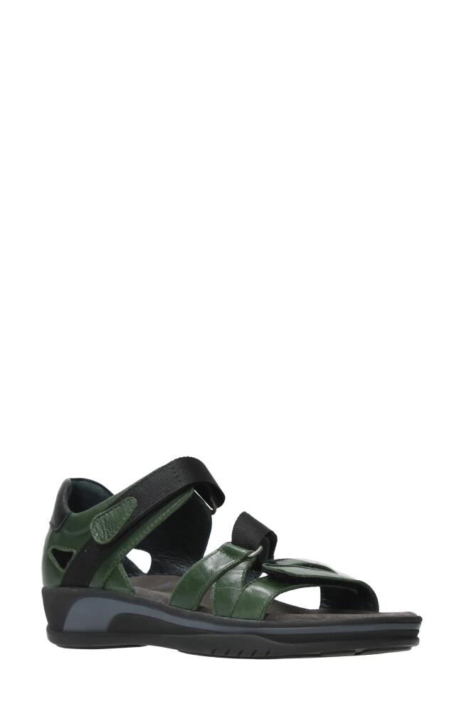 Wolky Desh Sandal in Green Savana Leather Cover