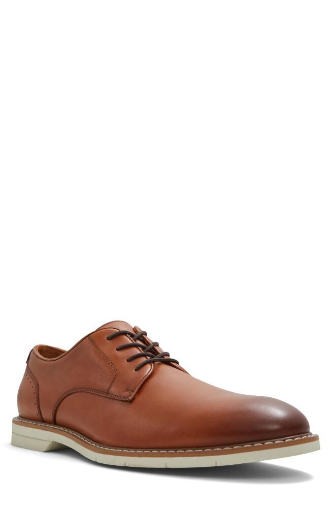 ALDO Faro Plain Toe Derby in Cognac Cover