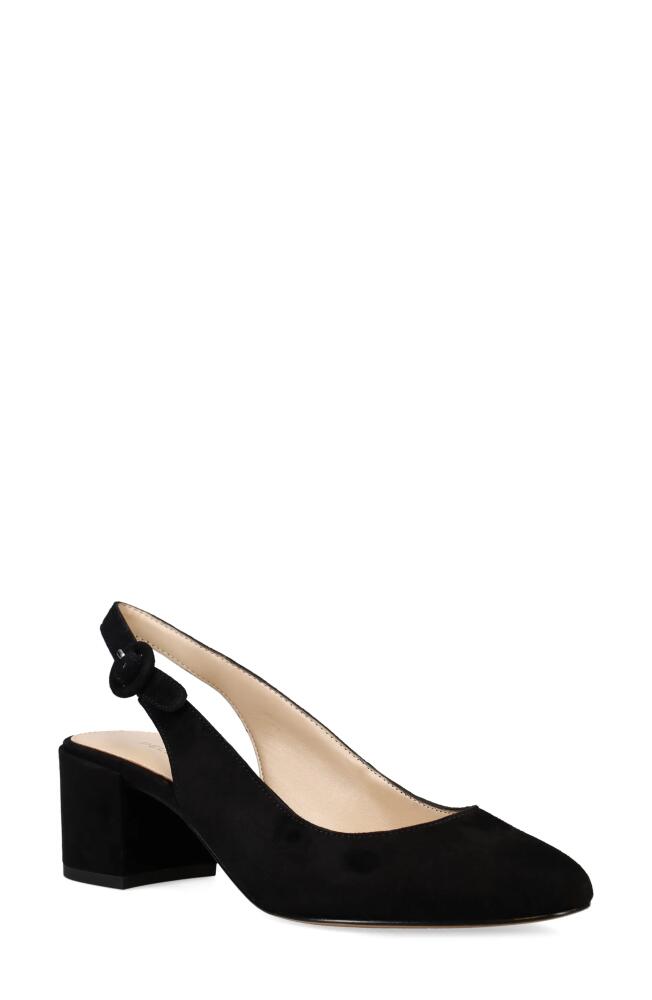 Pelle Moda Ulla Slingback Pump in Black Cover