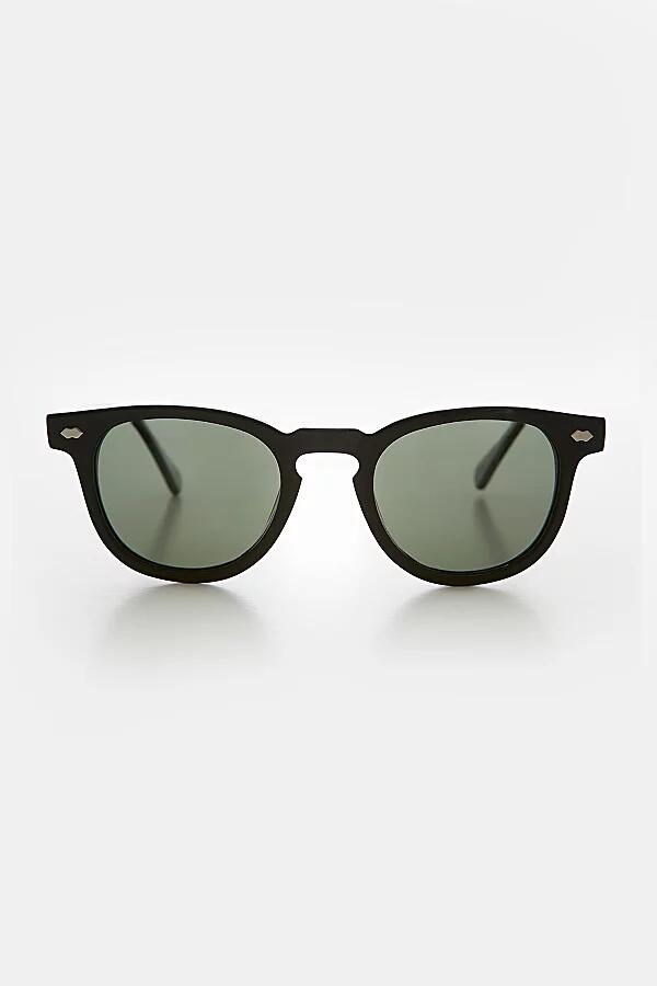 Sunglass Museum Benson Polarized Sunglasses in Black/Green Cover