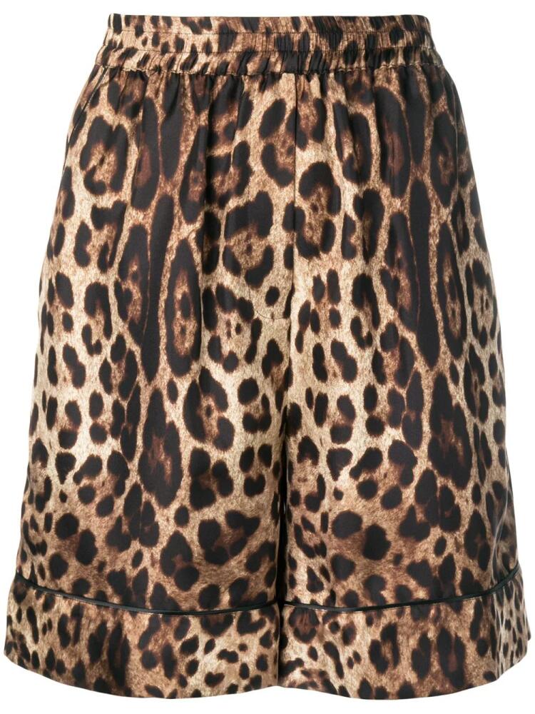 Dolce & Gabbana leopard-print silk shorts - Brown Cover