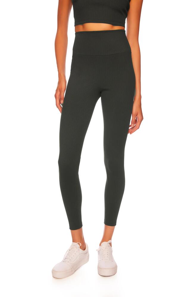 Susana Monaco Rib High Waist Leggings in Hunter Cover