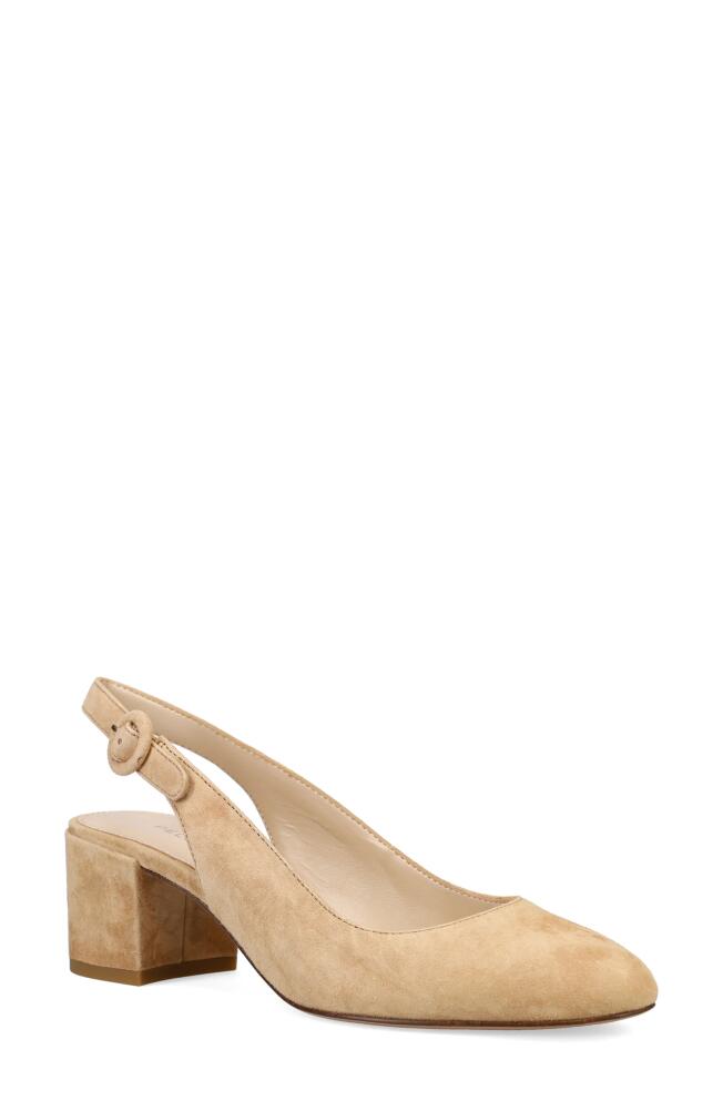 Pelle Moda Ulla Slingback Pump in Latte Cover