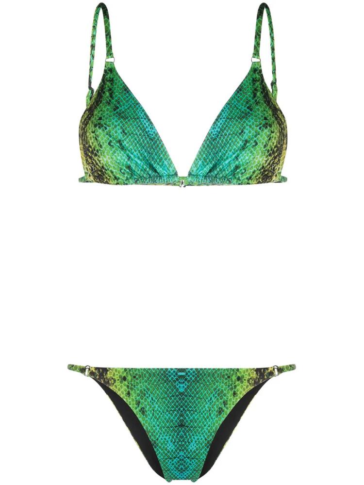 Noire Swimwear Snake Tanning bikini - Green Cover