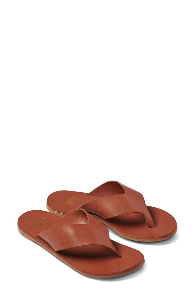 Beek Pip Flip Flop in Tan/Tan Cover