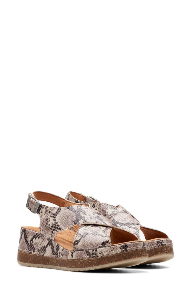 Clarks(r) Kassanda Step Wedge Sandal in Beige Snake Print Cover