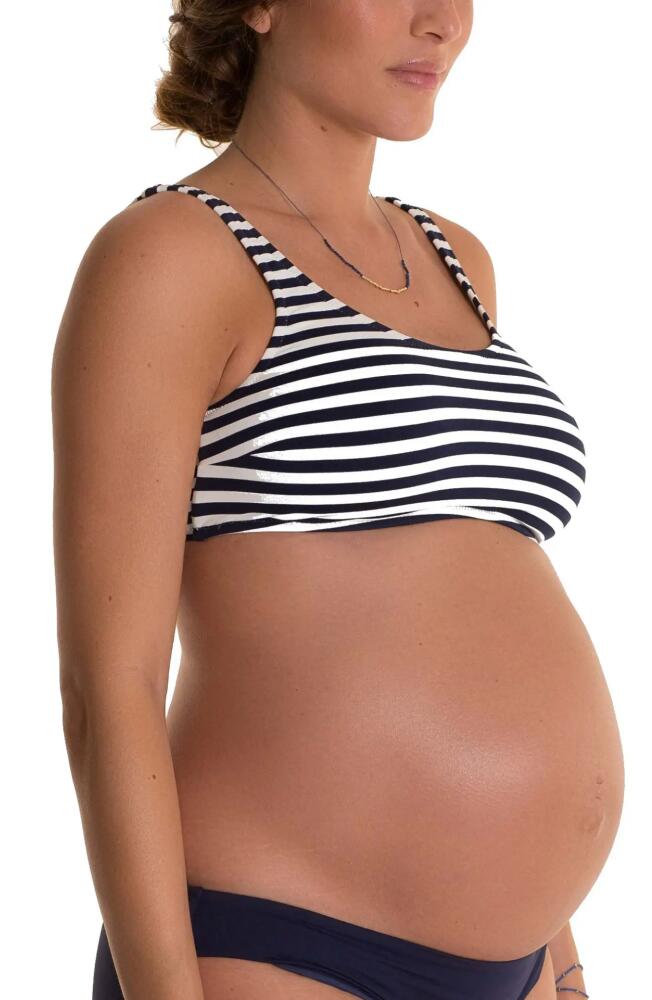 Pez D'Or Alba Stripe Maternity Bikini Top in Navy/White Cover