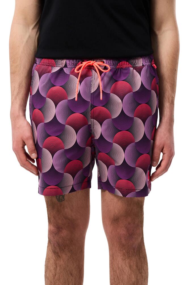 Psycho Bunny Stafford Print Swim Trunks in Purple Multicolored Cover