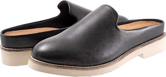 SoftWalk Wolcott II (Black) Women's Flat Shoes Cover