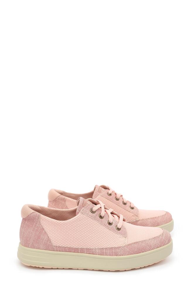 TRAQ by Alegria Copacetiq Lace-Up Sneaker in Dusty Rose Fabric Cover