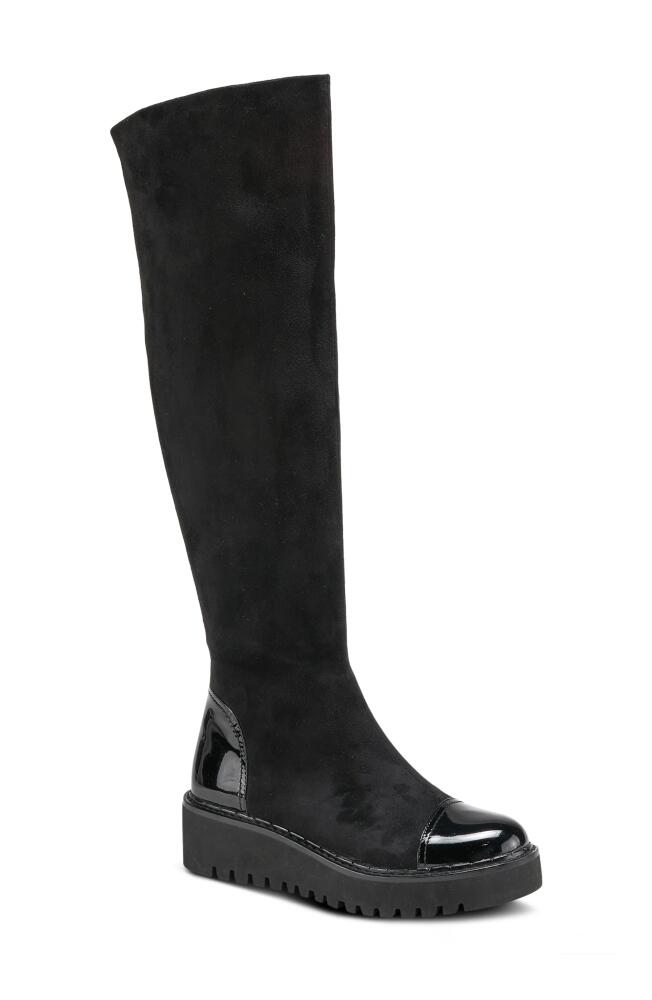 AZURA BY SPRING STEP Quappa Knee High Boot in Black Cover