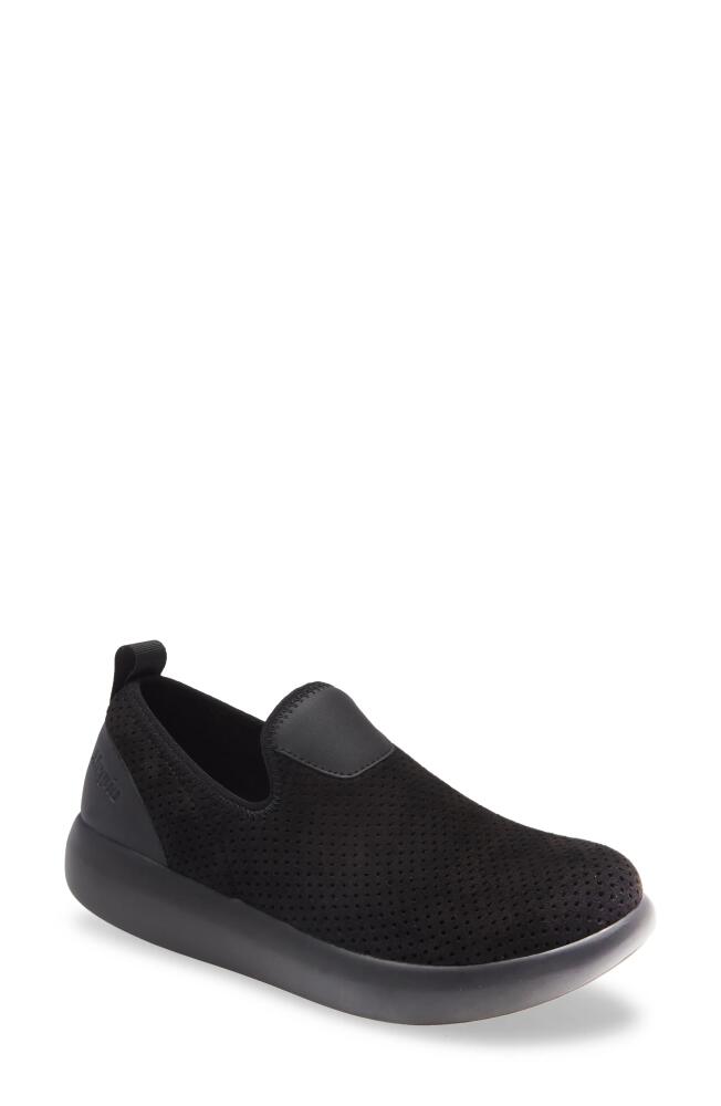 Alegria by PG Lite Eden Slip-On Sneaker in Black Flow Leather Cover